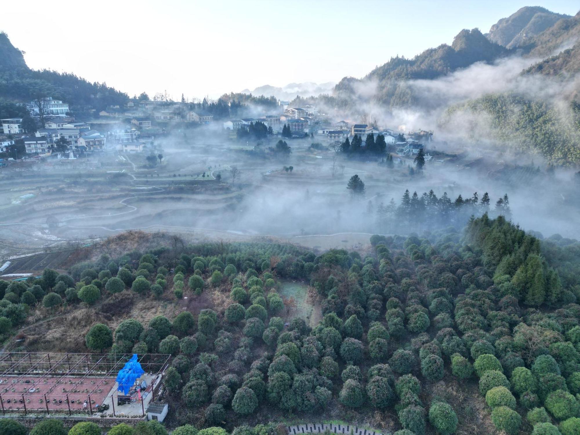 Hilltop House Resort Zhangjiajie Buitenkant foto